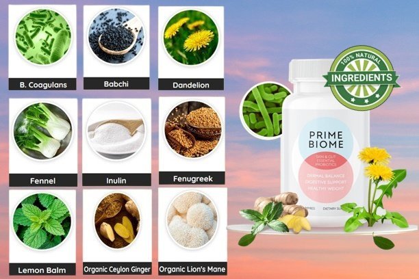 Prime Biome Ingredients